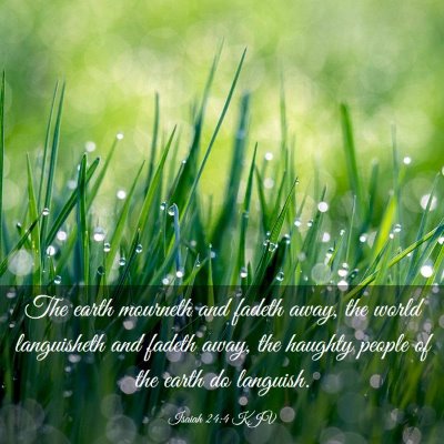 Picture 03 - Isaiah 24:4 KJV - The earth mourneth and fadeth away, the world - Bible Verse Picture