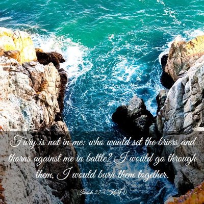 Picture 03 - Isaiah 27:4 KJV - Fury is not in me: who would set the briers and - Bible Verse Picture