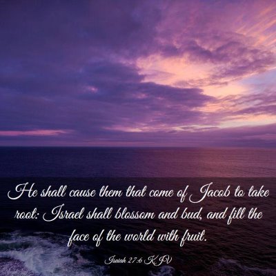 Picture 03 - Isaiah 27:6 KJV - He shall cause them that come of Jacob to take - Bible Verse Picture