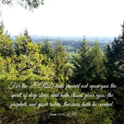 Picture 03 - Isaiah 29:10 KJV - For the LORD hath poured out upon you the spirit - Bible Verse Picture