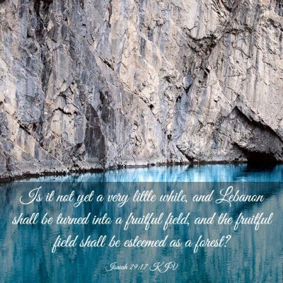 Picture 03 - Isaiah 29:17 KJV - Is it not yet a very little while, and Lebanon - Bible Verse Picture