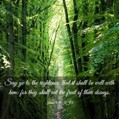 Picture 03 - Isaiah 3:10 KJV - Say ye to the righteous, that it shall be well - Bible Verse Picture