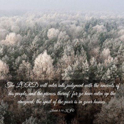 Picture 03 - Isaiah 3:14 KJV - The LORD will enter into judgment with the - Bible Verse Picture