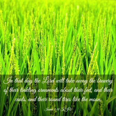 Picture 03 - Isaiah 3:18 KJV - In that day the Lord will take away the bravery - Bible Verse Picture