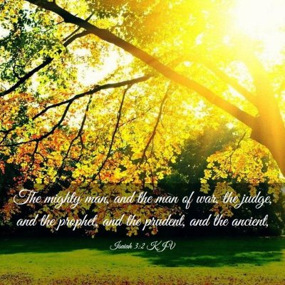 Picture 03 - Isaiah 3:2 KJV - The mighty man, and the man of war, the judge, - Bible Verse Picture