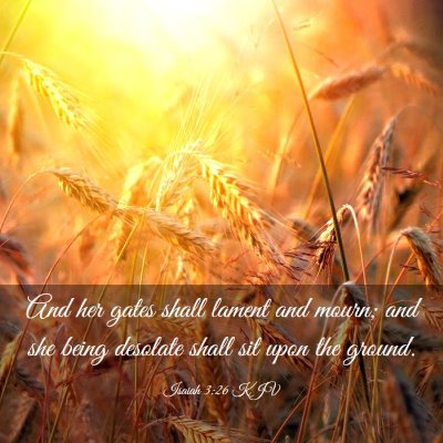 Picture 03 - Isaiah 3:26 KJV - And her gates shall lament and mourn; and she - Bible Verse Picture