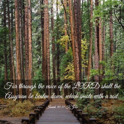 Picture 03 - Isaiah 30:31 KJV - For through the voice of the LORD shall the - Bible Verse Picture