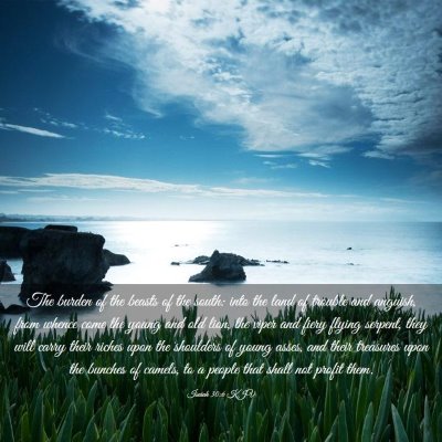 Picture 03 - Isaiah 30:6 KJV - The burden of the beasts of the south: into the - Bible Verse Picture