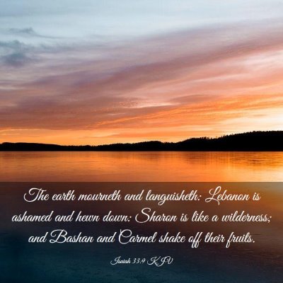 Picture 03 - Isaiah 33:9 KJV - The earth mourneth and languisheth: Lebanon is - Bible Verse Picture
