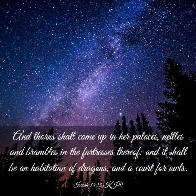 Picture 03 - Isaiah 34:13 KJV - And thorns shall come up in her palaces, nettles - Bible Verse Picture