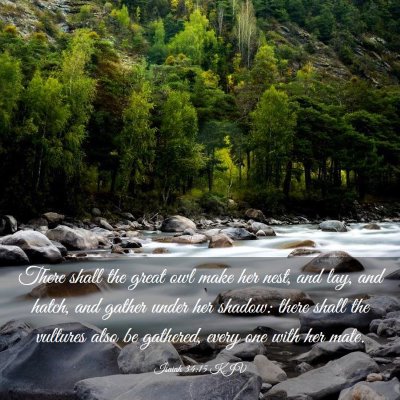 Picture 03 - Isaiah 34:15 KJV - There shall the great owl make her nest, and lay, - Bible Verse Picture