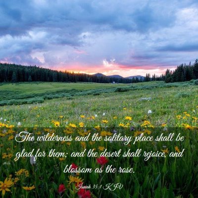 Picture 03 - Isaiah 35:1 KJV - The wilderness and the solitary place shall be - Bible Verse Picture