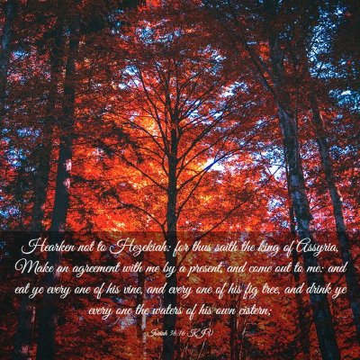 Picture 03 - Isaiah 36:16 KJV - Hearken not to Hezekiah: for thus saith the king - Bible Verse Picture