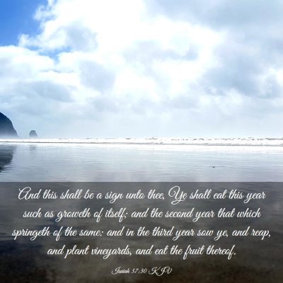 Picture 03 - Isaiah 37:30 KJV - And this shall be a sign unto thee, Ye shall eat - Bible Verse Picture