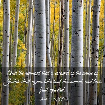 Picture 03 - Isaiah 37:31 KJV - And the remnant that is escaped of the house of - Bible Verse Picture
