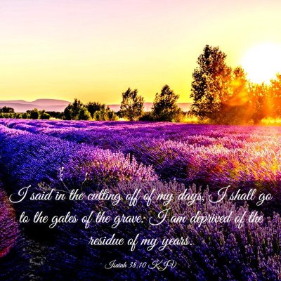 Picture 03 - Isaiah 38:10 KJV - I said in the cutting off of my days, I shall go - Bible Verse Picture