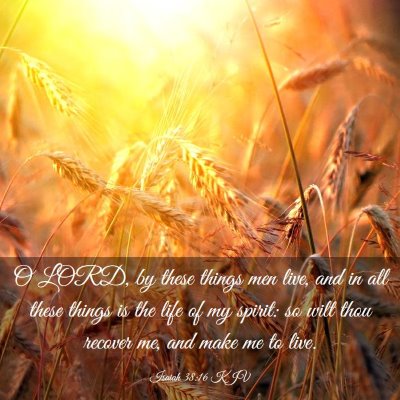 Picture 03 - Isaiah 38:16 KJV - O LORD, by these things men live, and in all - Bible Verse Picture