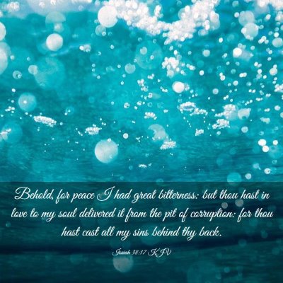 Picture 03 - Isaiah 38:17 KJV - Behold, for peace I had great bitterness: but - Bible Verse Picture