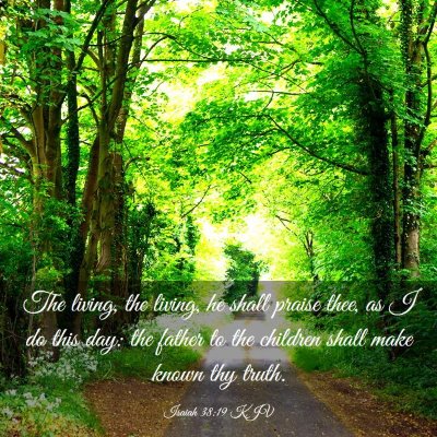 Picture 03 - Isaiah 38:19 KJV - The living, the living, he shall praise thee, as - Bible Verse Picture