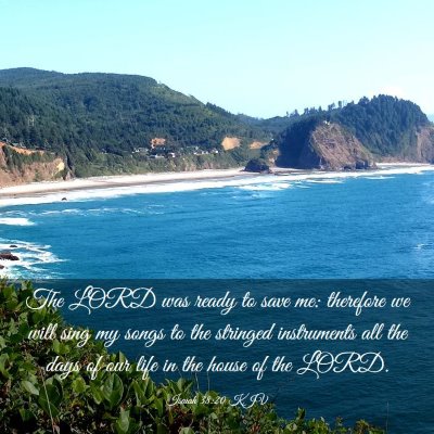 Picture 03 - Isaiah 38:20 KJV - The LORD was ready to save me: therefore we will - Bible Verse Picture