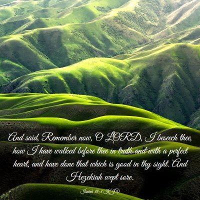 Picture 03 - Isaiah 38:3 KJV - And said, Remember now, O LORD, I beseech thee, - Bible Verse Picture