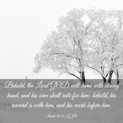 Picture 03 - Isaiah 40:10 KJV - Behold, the Lord GOD will come with strong hand, - Bible Verse Picture
