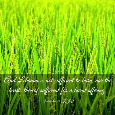 Picture 03 - Isaiah 40:16 KJV - And Lebanon is not sufficient to burn, nor the - Bible Verse Picture