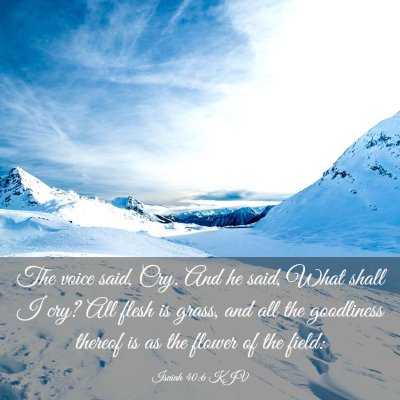 Picture 03 - Isaiah 40:6 KJV - The voice said, Cry. And he said, What shall I - Bible Verse Picture