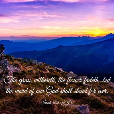 Picture 03 - Isaiah 40:8 KJV - The grass withereth, the flower fadeth: but the - Bible Verse Picture