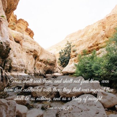 Picture 03 - Isaiah 41:12 KJV - Thou shalt seek them, and shalt not find them, - Bible Verse Picture
