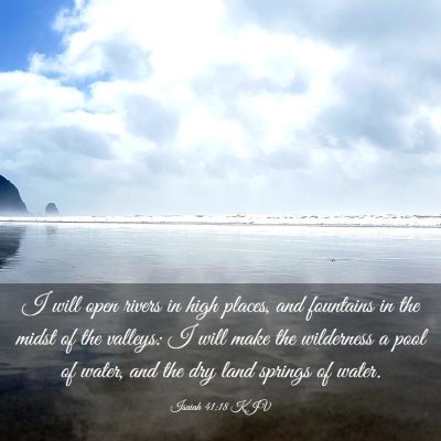 Picture 03 - Isaiah 41:18 KJV - I will open rivers in high places, and fountains - Bible Verse Picture