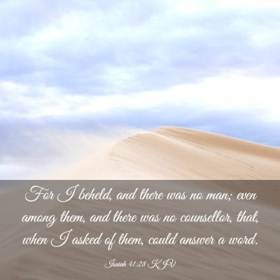 Picture 03 - Isaiah 41:28 KJV - For I beheld, and there was no man; even among - Bible Verse Picture