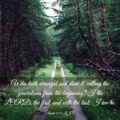 Picture 03 - Isaiah 41:4 KJV - Who hath wrought and done it, calling the - Bible Verse Picture