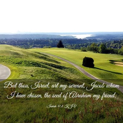 Picture 03 - Isaiah 41:8 KJV - But thou, Israel, art my servant, Jacob whom I - Bible Verse Picture