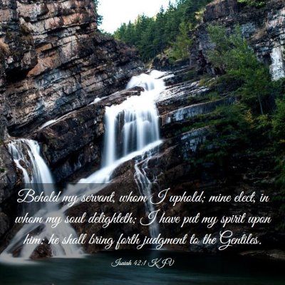 Picture 03 - Isaiah 42:1 KJV - Behold my servant, whom I uphold; mine elect, in - Bible Verse Picture