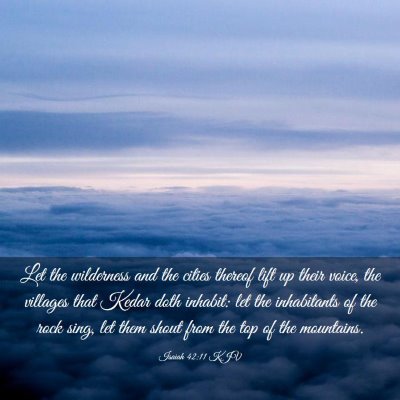 Picture 03 - Isaiah 42:11 KJV - Let the wilderness and the cities thereof lift up - Bible Verse Picture