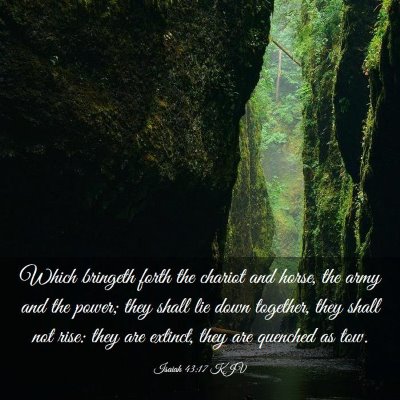 Picture 03 - Isaiah 43:17 KJV - Which bringeth forth the chariot and horse, the - Bible Verse Picture