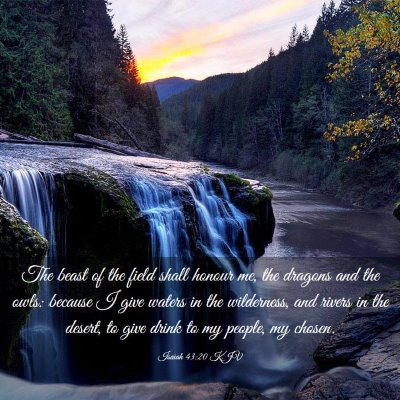 Picture 03 - Isaiah 43:20 KJV - The beast of the field shall honour me, the - Bible Verse Picture
