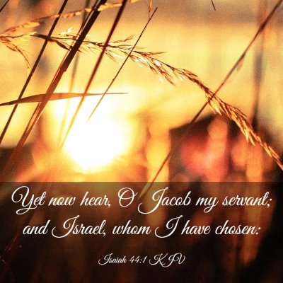 Picture 03 - Isaiah 44:1 KJV - Yet now hear, O Jacob my servant; and Israel, - Bible Verse Picture