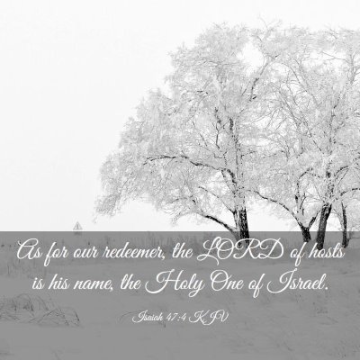 Picture 03 - Isaiah 47:4 KJV - As for our redeemer, the LORD of hosts is his - Bible Verse Picture