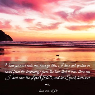 Picture 03 - Isaiah 48:16 KJV - Come ye near unto me, hear ye this; I have not - Bible Verse Picture