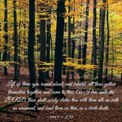 Picture 03 - Isaiah 49:18 KJV - Lift up thine eyes round about, and behold: all - Bible Verse Picture