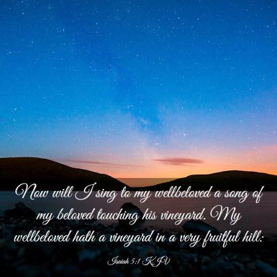 Picture 03 - Isaiah 5:1 KJV - Now will I sing to my wellbeloved a song of my - Bible Verse Picture