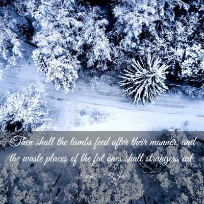 Picture 03 - Isaiah 5:17 KJV - Then shall the lambs feed after their manner, and - Bible Verse Picture