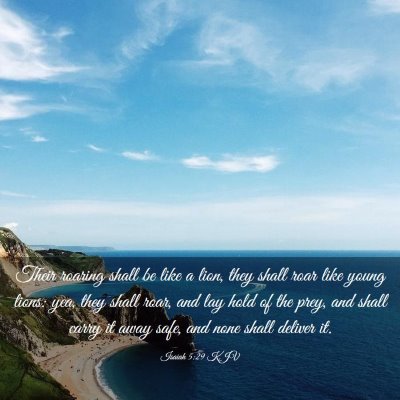 Picture 03 - Isaiah 5:29 KJV - Their roaring shall be like a lion, they shall - Bible Verse Picture