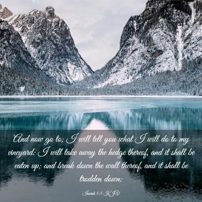 Picture 03 - Isaiah 5:5 KJV - And now go to; I will tell you what I will do to - Bible Verse Picture