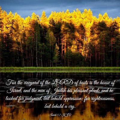 Picture 03 - Isaiah 5:7 KJV - For the vineyard of the LORD of hosts is the - Bible Verse Picture