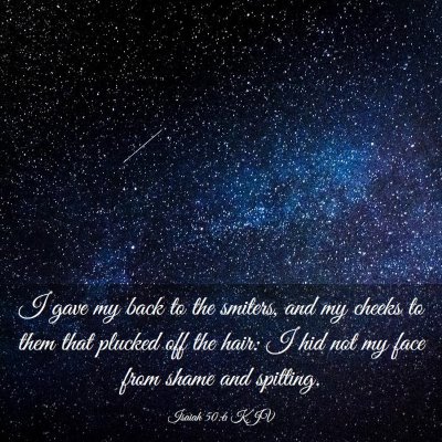 Picture 03 - Isaiah 50:6 KJV - I gave my back to the smiters, and my cheeks to - Bible Verse Picture