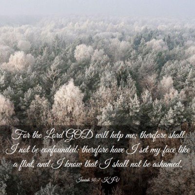 Picture 03 - Isaiah 50:7 KJV - For the Lord GOD will help me; therefore shall I - Bible Verse Picture