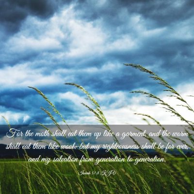Picture 03 - Isaiah 51:8 KJV - For the moth shall eat them up like a garment, - Bible Verse Picture